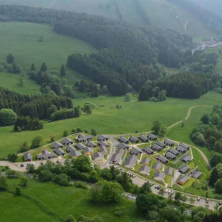 Platzhirsch - Im Harz * Sankt Andreasberg
